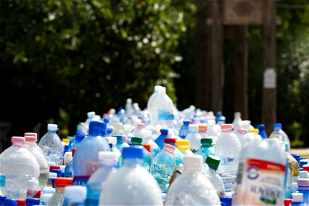 Assorted Plastic Bottles photo