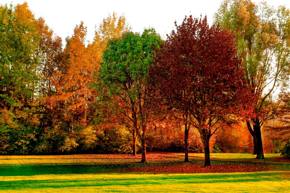Autumn Daylight Environment photo