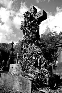 Black And White Monochrome Photography Tree Monument photo