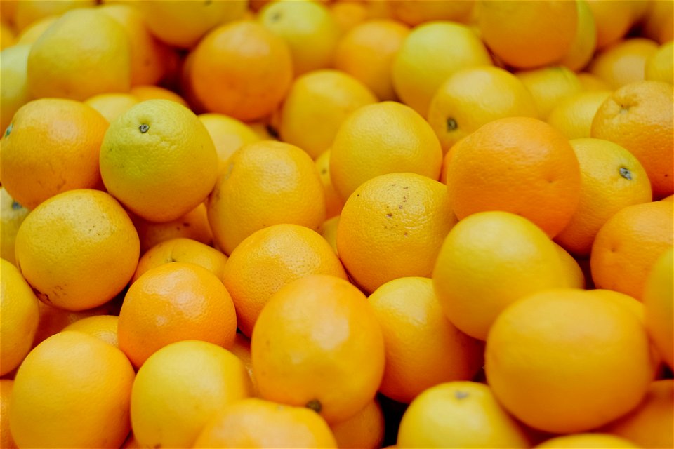 Oranges