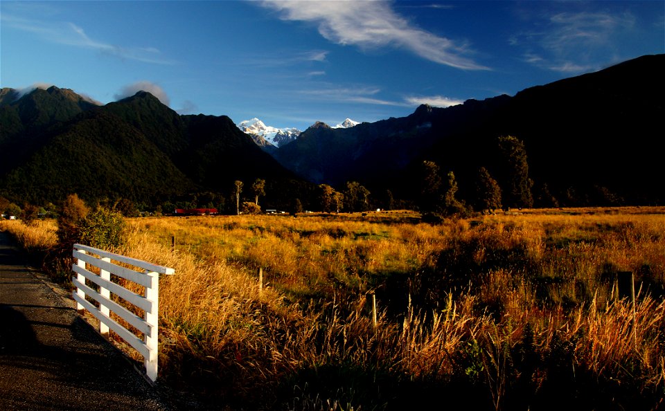 Fox Glacier Westland National ParkNZ