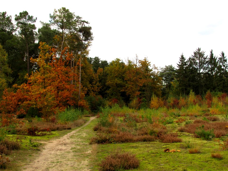 Plant Sky Plant Community Natural Landscape photo