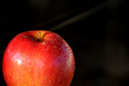 Red Apple With Water Droplets photo