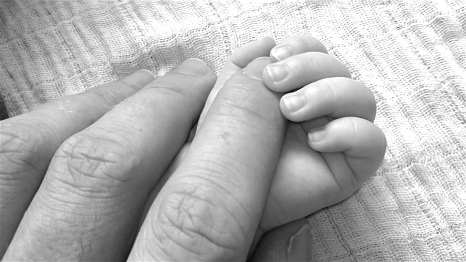 Close Up Photo Holding Hands Of Baby And Human photo