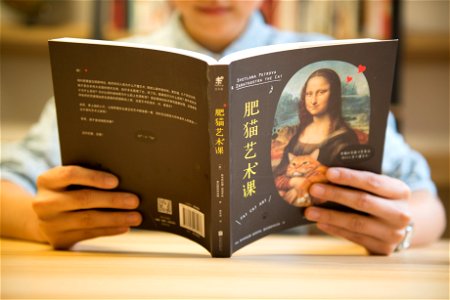 Adult Reading Japanese Book photo