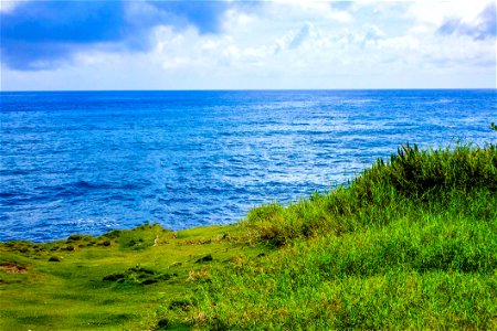 Blue Sea And Green Coast photo