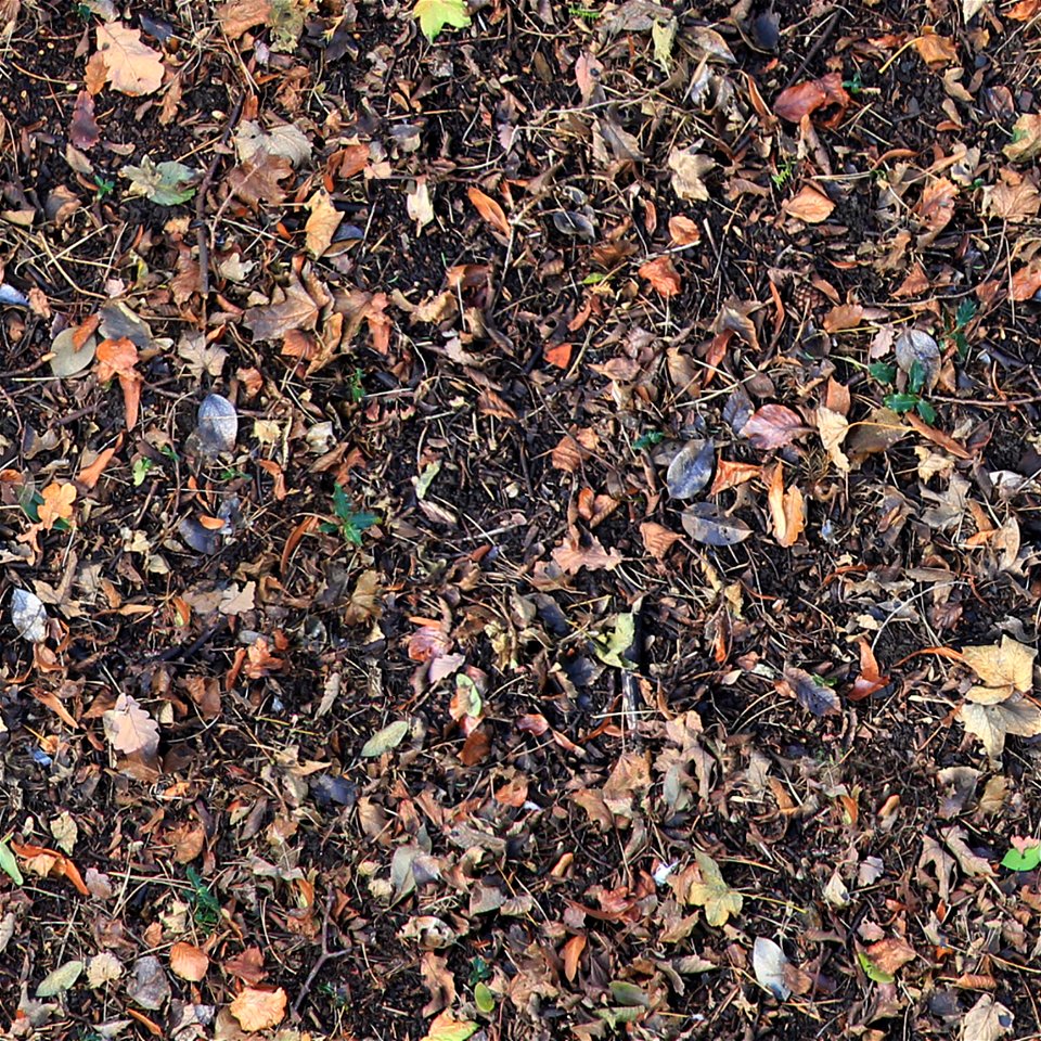 Free Seamless Texture Autumn Leaves