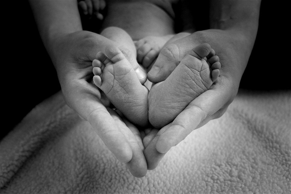 Photograph Black Hand Black And White