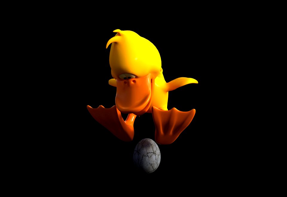 Yellow Vertebrate Computer Wallpaper Organism