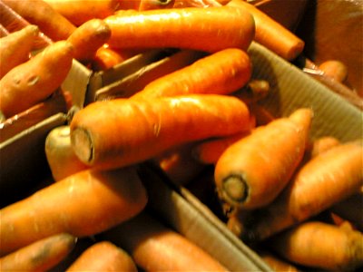 Carrots At TampT photo