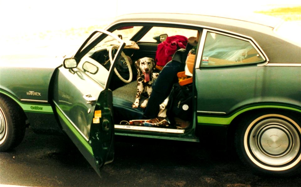 We Drove Across The Country