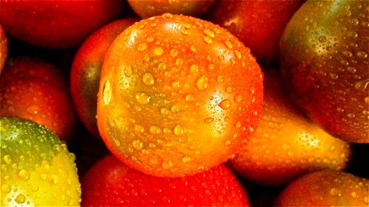 Orange Round Fruit photo