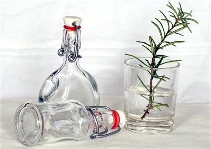 Green Leaf Plant On A Drinking Glass And Bottles photo