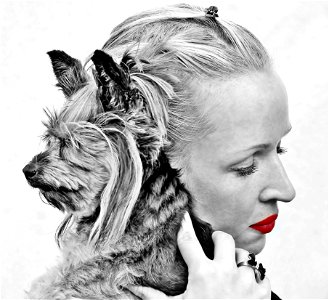 Selective Color Photography Of Woman Holding Yorkshire Terrier photo