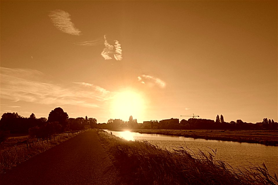 PUBLIC DOMAIN DEDICATION - Pixabay- Pexels Digionbew 16 18-08-16 Pink Sunset Over Middelpolder LOW RES DSC09720 photo