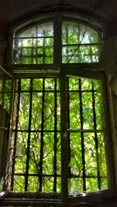 Dilapidated Window photo