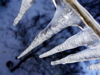 Hanging Icicles photo