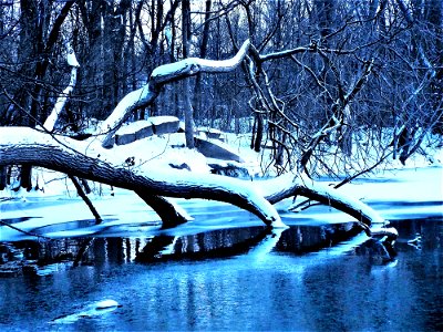 Pond In Winter photo