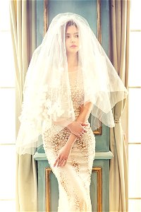 Woman In Brown Tank Bodycon Dress With White Veil Standing photo