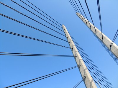 Low Angle Photography Of Cable Railings At Daytime photo