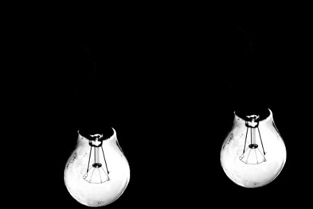 Filament Bulbs On Black photo