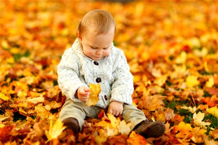 Display Autumn Fall Baby Boy Child photo