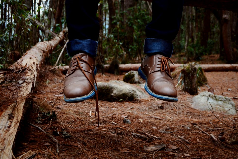 Photography Of Person Wearing Brown Leather Shoes Near Brown Log On Green Forest During Daytime photo