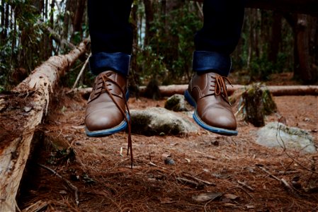 Photography Of Person Wearing Brown Leather Shoes Near Brown Log On Green Forest During Daytime