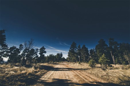 Dirt Road In Countryside photo