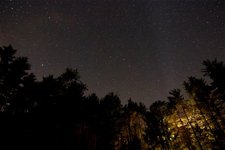 Night Sky In Forest photo