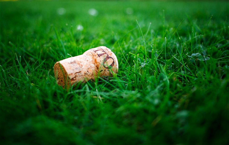Wine Cork On Green Grass photo