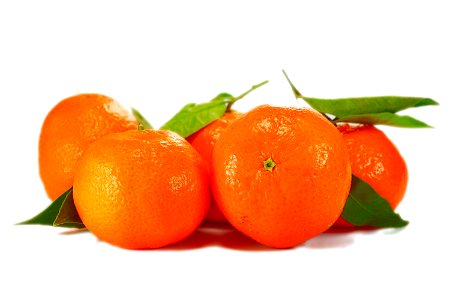 Oranges On White