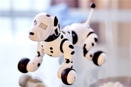 White And Black Dog Robot On Clear Glass Table photo