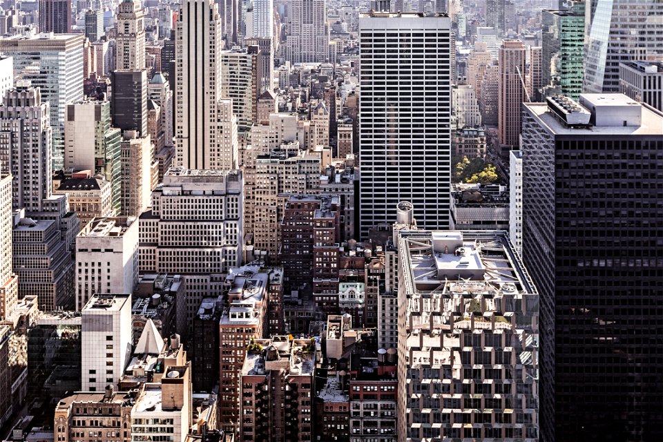 View Of Manhattan