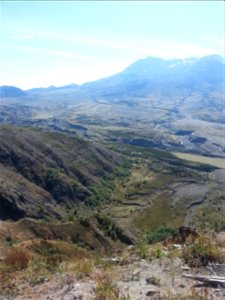 Mt St Helens
