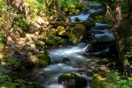 Rocky Creek along the Pacific Northwest Trail photo