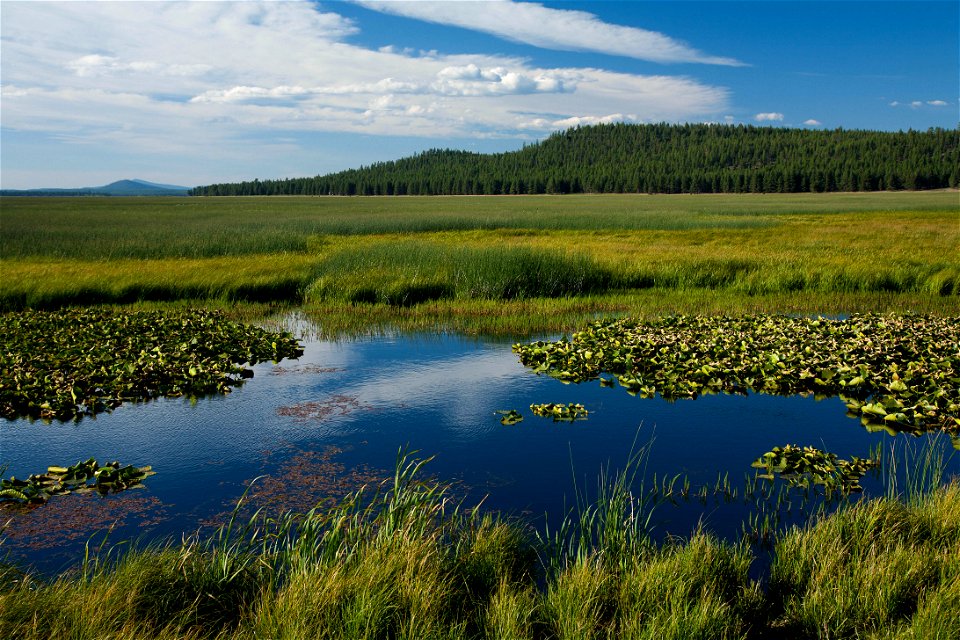 KLAMATH MARSH NATIONAL WILDLIFE AREA-FREMONT WINEMA photo