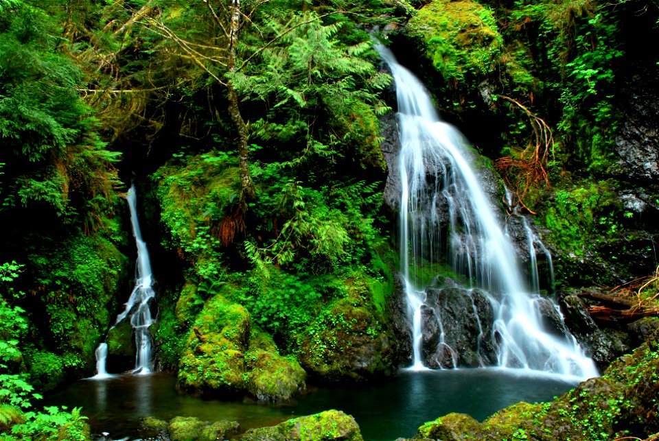 Clark Creek Waterfall, Olympic National Forest