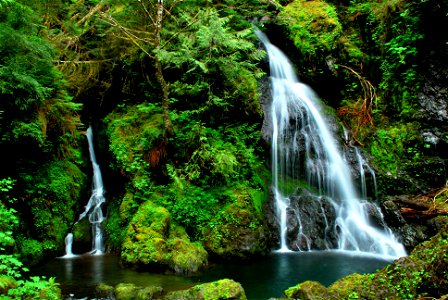 Clark Creek Waterfall, Olympic National Forest photo