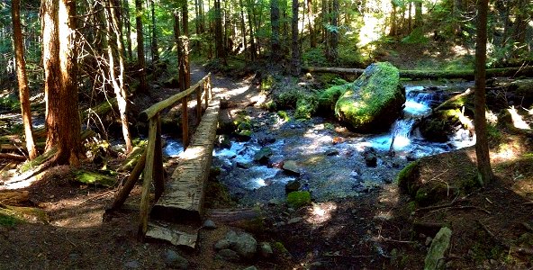 Log bridge over Silver Creek on the Tubal Cain Trail, Olympic National Forest photo