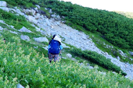 on Kami-no-michi trail