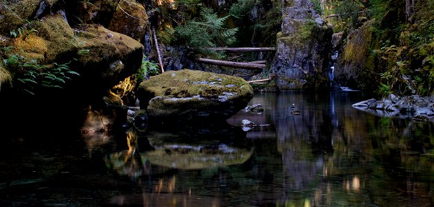 Boulders and Moss at Opal Creek Pool, Willamette National Forest