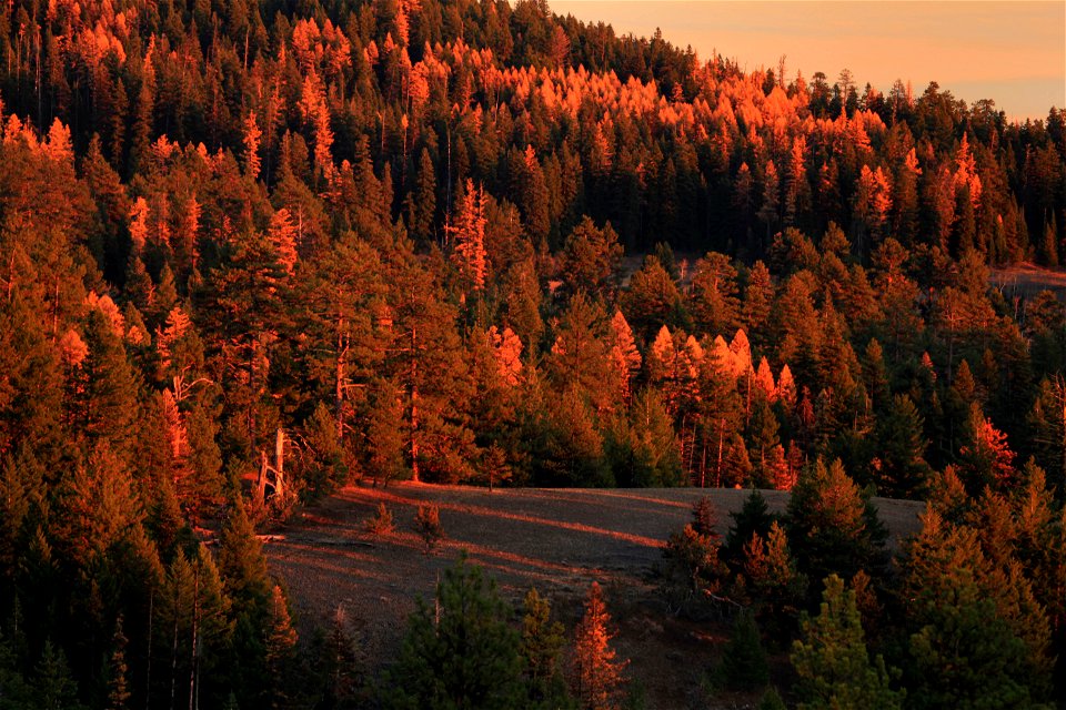 Ochoco National Forest Indian Prairie sunset