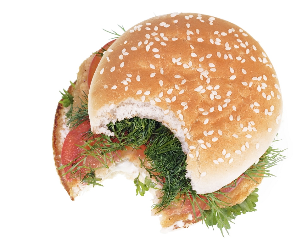 Sandwich with a bite