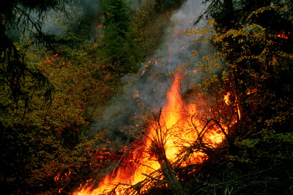 440 Prescribed Fire