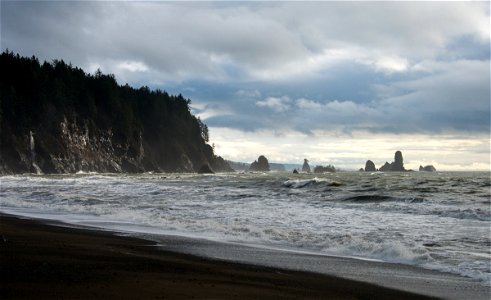 The Pacific Northwest Trail follows the coastline of Third Beach, Olympic National Park photo