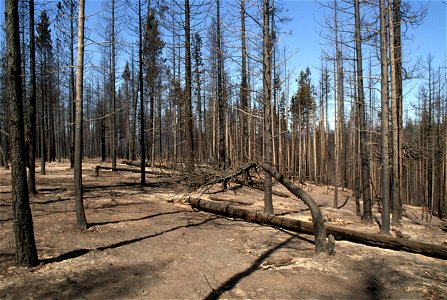 366 McKay Butte Fire, Deschutes National Forest
