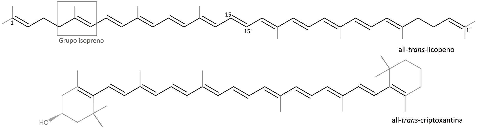 Estructuras de all-trans-licopeno y all-trans-criptoxantina photo