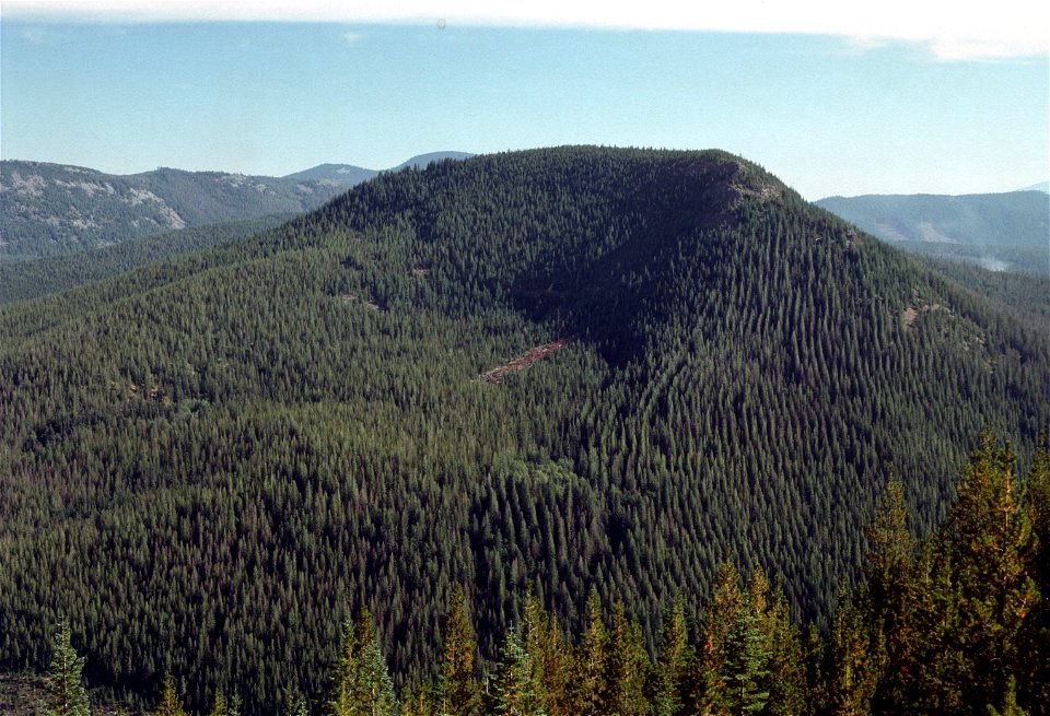 Eureka Peak Mt Hood National Forest.jpg photo