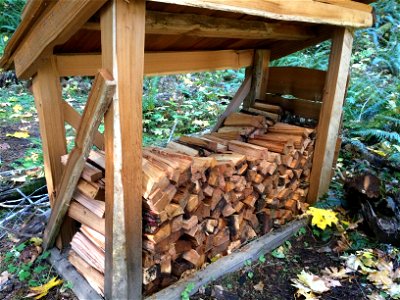 202010 Lewis River Bolt Shelter photo